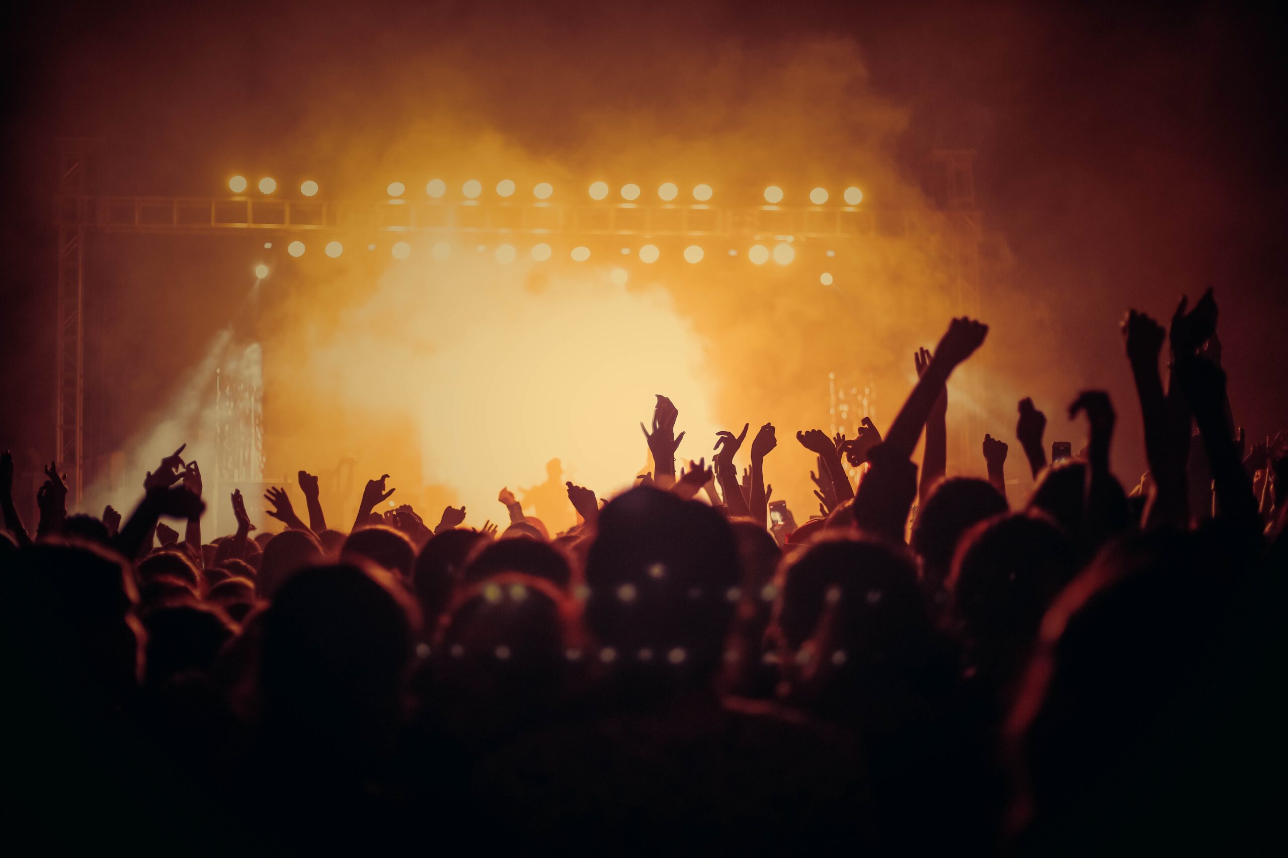 Concert Limousine